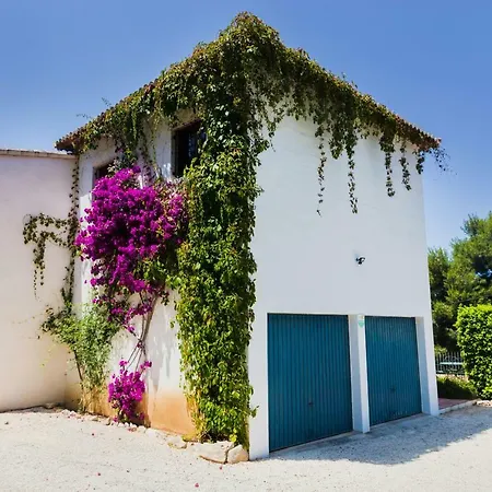 Villa Ficus El Tosalet *
